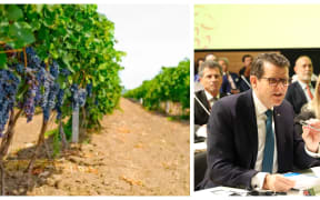 John Barker, director-general-designate of the International Organisation of Vine and Wine.