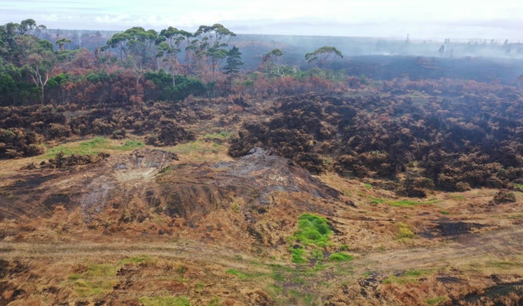 Fire damage to the Kaimaumau Wetland