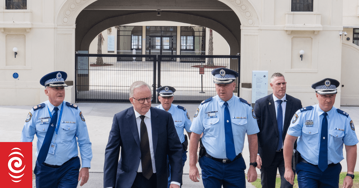 Anthony Albanese doesn't rule out calling royal commission into Bondi Beach terrorist attack