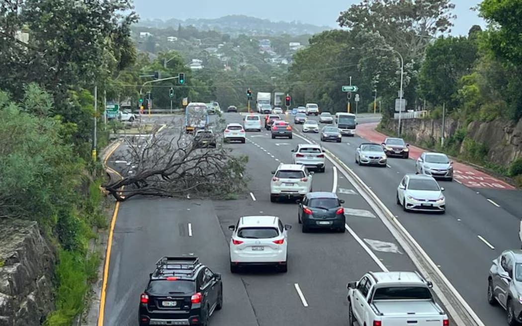 The NSW SES has responded to more than 6,000 incidents over the past three days.