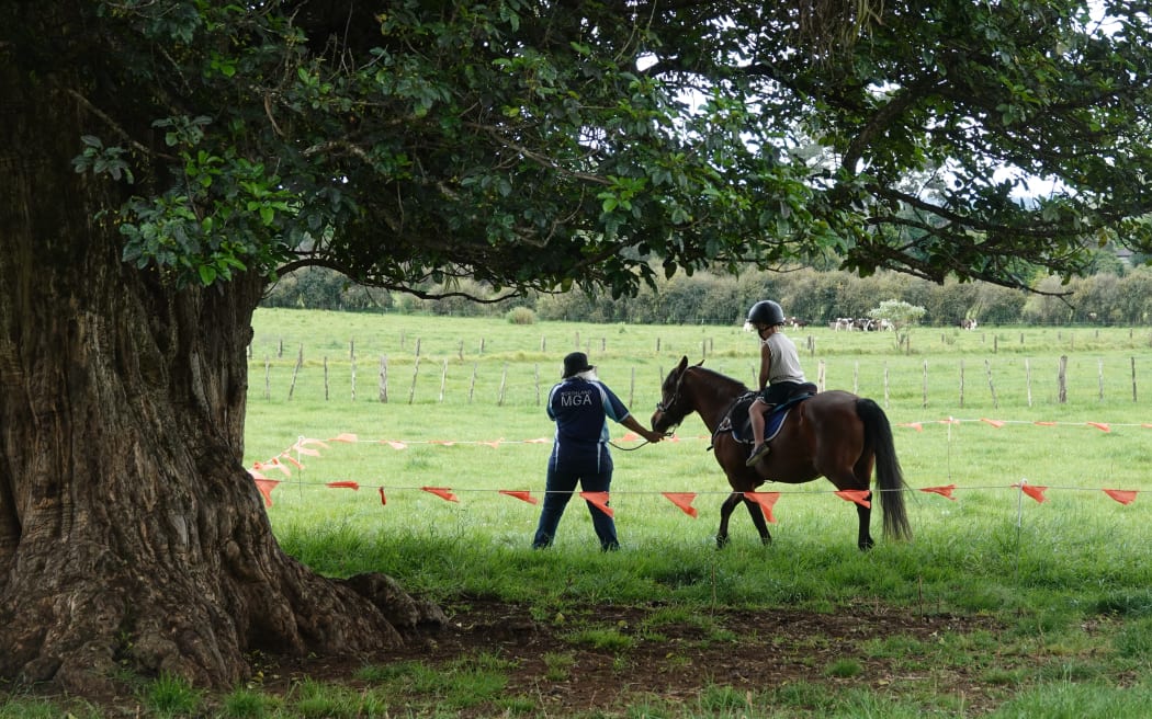 Free pony rides were a feature of this year’s Bay of Islands Show.