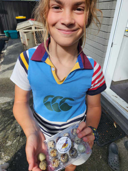 The packaged eggs ready for market.