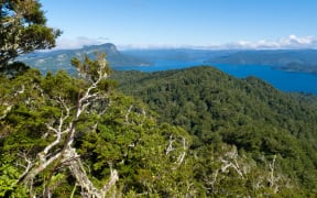 Te Urewera's Lake Waikaremoana.