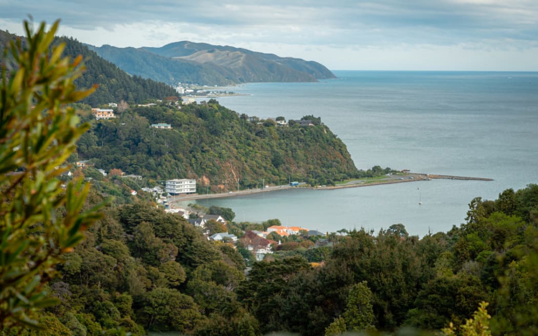 Eastbourne, Lower Hutt, at the south east edge of Wellington Harbour.