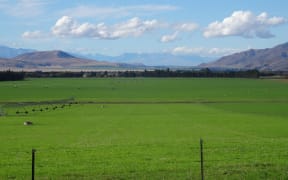 Some alpine tussock land in the Mackenzie Country is being irrigated for intensive farming.