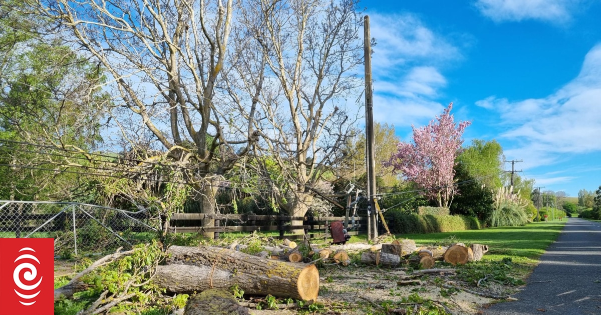 Severe winds forecast for South Island and lower North Island RNZ News