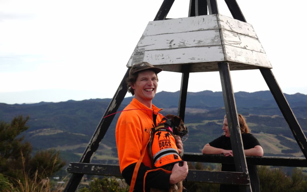 Detection dog handler Jonah Kitto-Verhoef and his possum detection dog Scout are often the first deployed into an area with low possum density to help them decide where to rule out and where they should hone their efforts.
