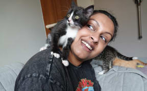 Māmā Mini's has about 20 kittens at the moment and has rehomed about 100 this year.