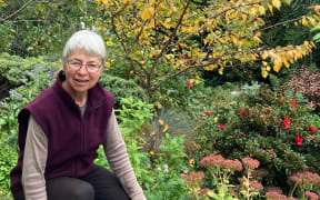 Sue Novell made her suburban quarter-acre home in Dunedin into a productive food garden with minimal lawn.