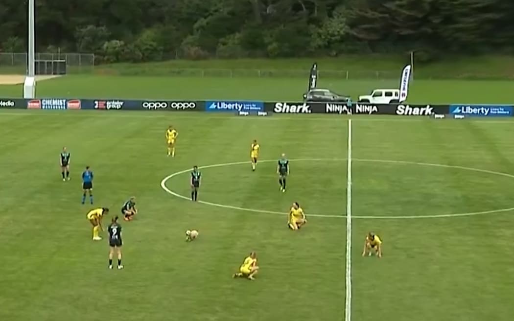 Wellington Phoenix captain Annalie Longo's dog stole the show in the A-League clash with Canberra United.
