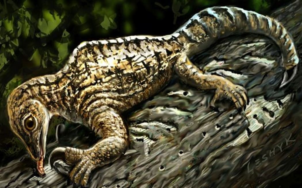 The Drepanosaurus reptile