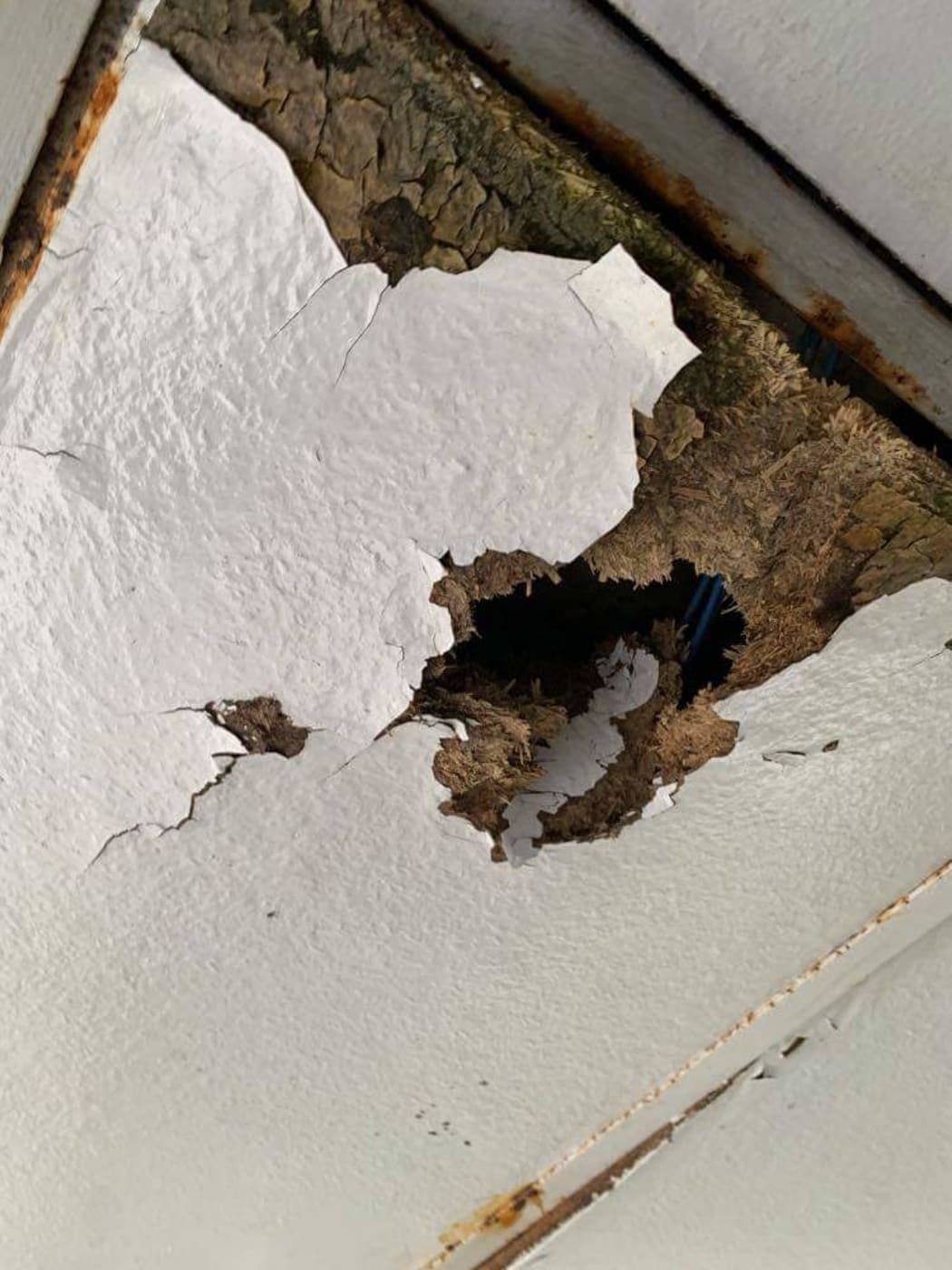 A block of classrooms at Hutt Valley High School has had to shut due to mould and leakage problems.