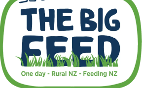 The Big Feed