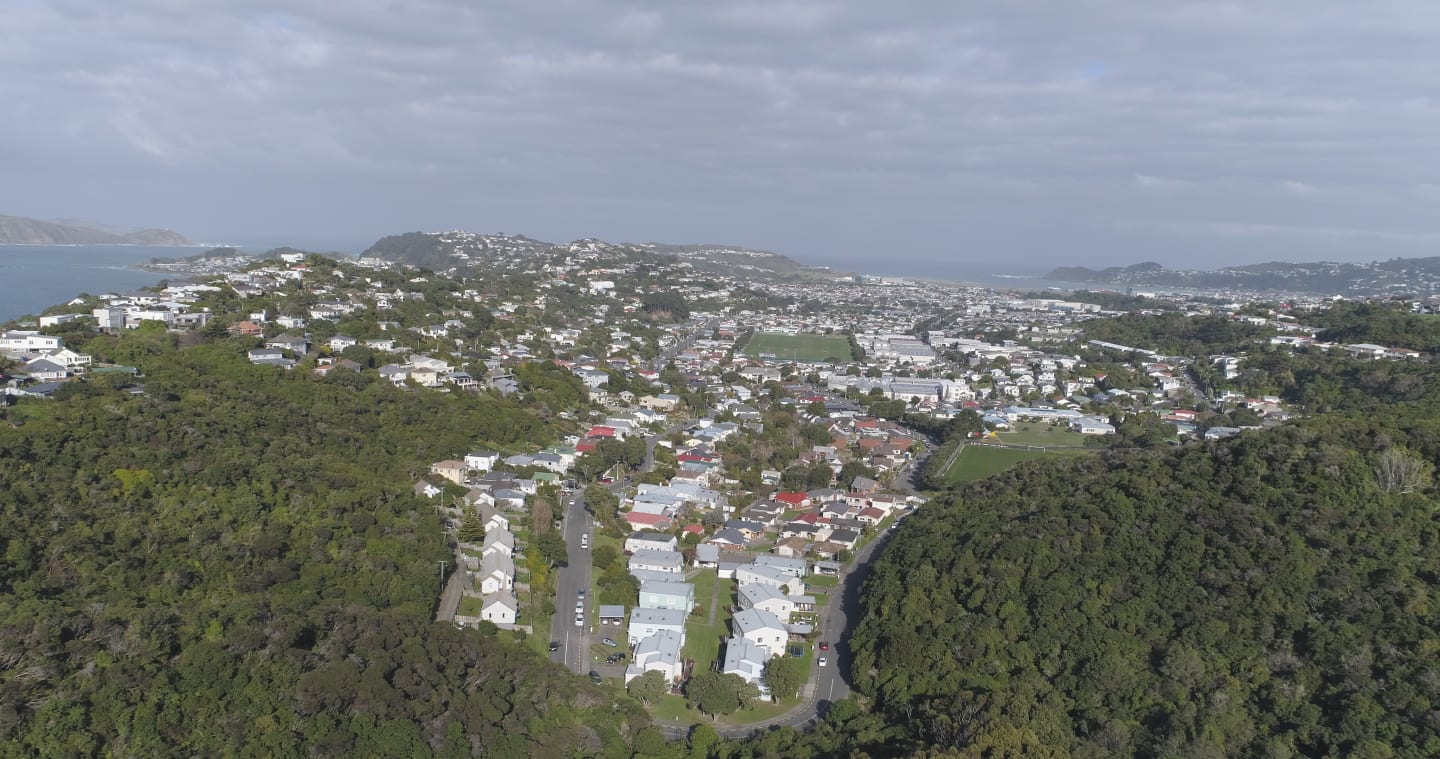 Miramar Peninsula, Wellington, urban landscape-scale predator eradication project