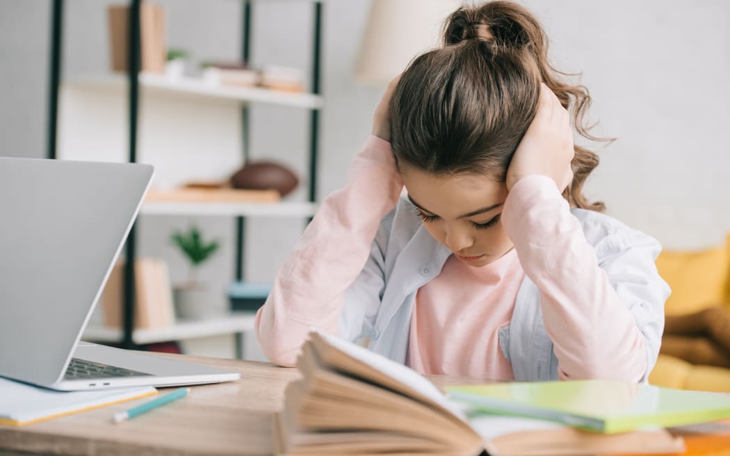 Child / Student doing school work at home.