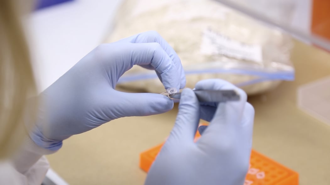 Obtaining sample for fibre typing