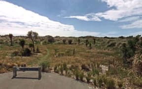Trees for Canterbury are replanting native plants in the Christchurch suburb of Southshore.