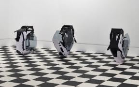 Tauira Raupapa by Roman Mitch, Mokopōpaki Art Gallery