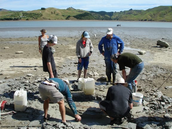 The JUNATS group getting the fossil out.