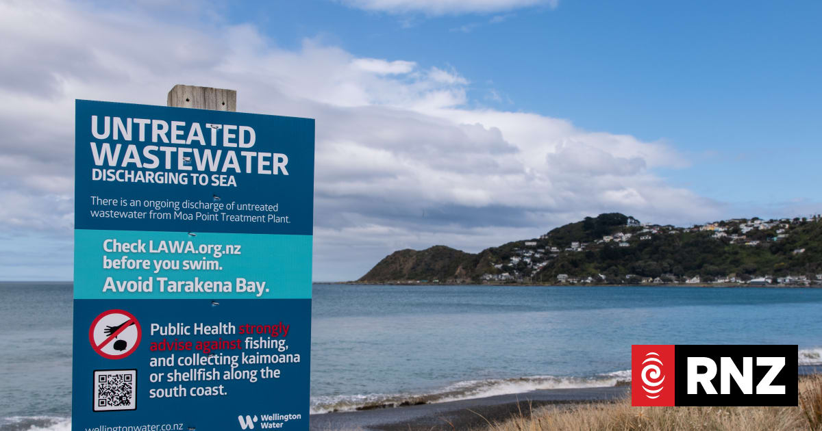 'Something went seriously wrong': Answers on Moa Point to be released next week