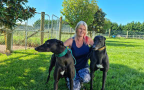 Kennel manager Carolyn Henley next to greyhounds Nate and Colin who are up for adoption.