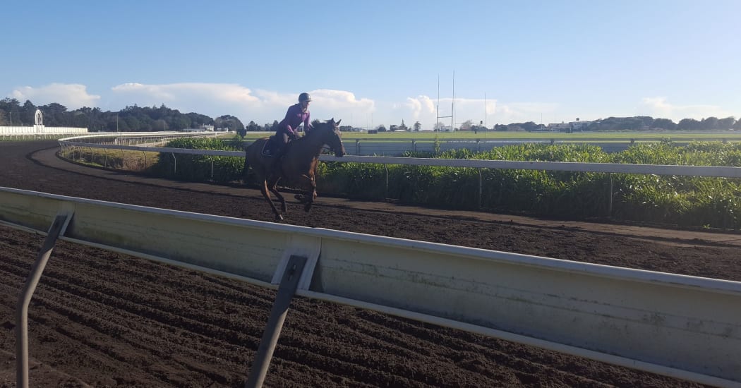 Pukekura Raceway in New Plymouth.