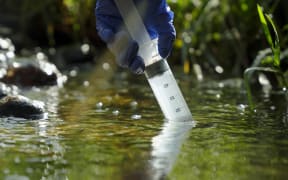 A close up of a hand in a blue rubber glove using a large syringe to collect water from a bubbling stream.