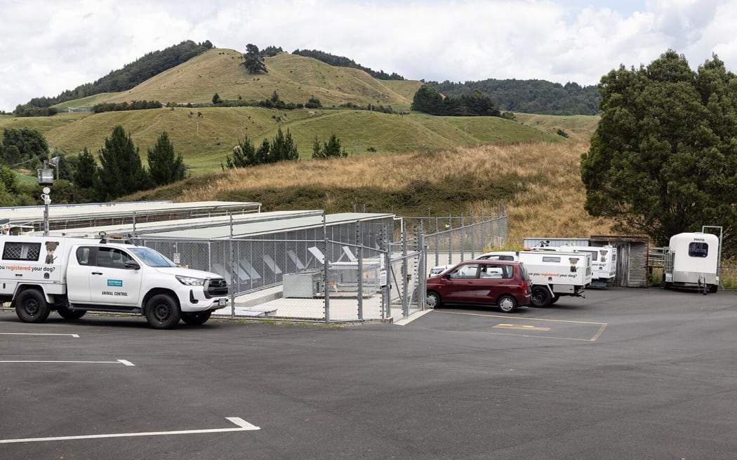 Rotorua Dog Pound. 10 January 2024 The Daily Post Photo / Andrew Warner