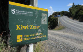 The dead kiwi have been found at Wharengaere Bay in the northern Bay of Islands.