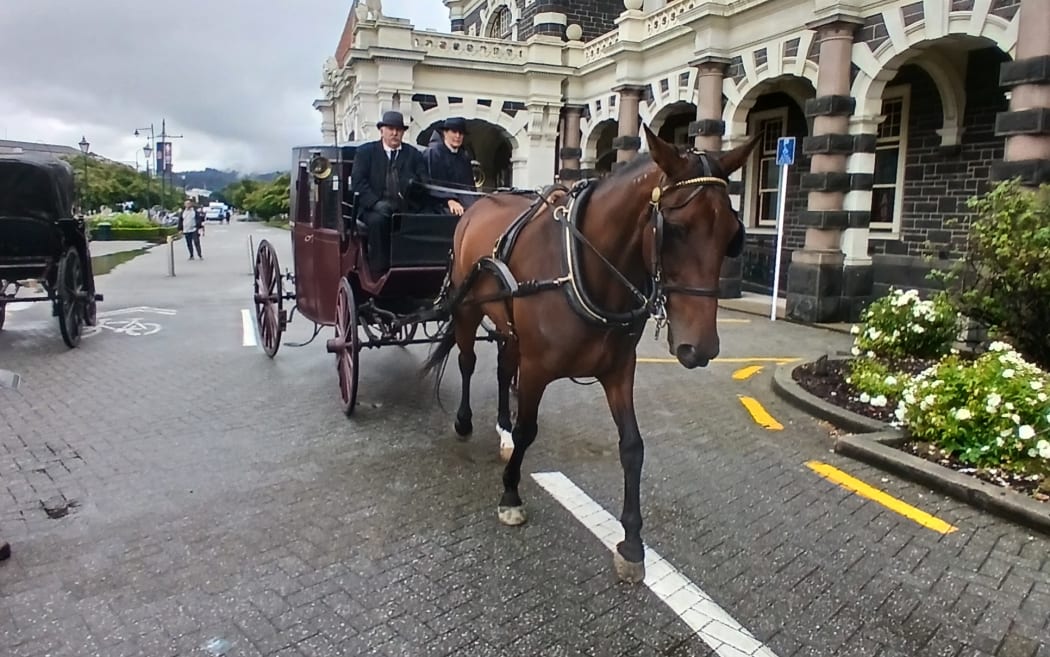 Antique Carriages' vehicles being towed by horses during the filming of a Netflix adaptation of East of Eden, in Dunedin.