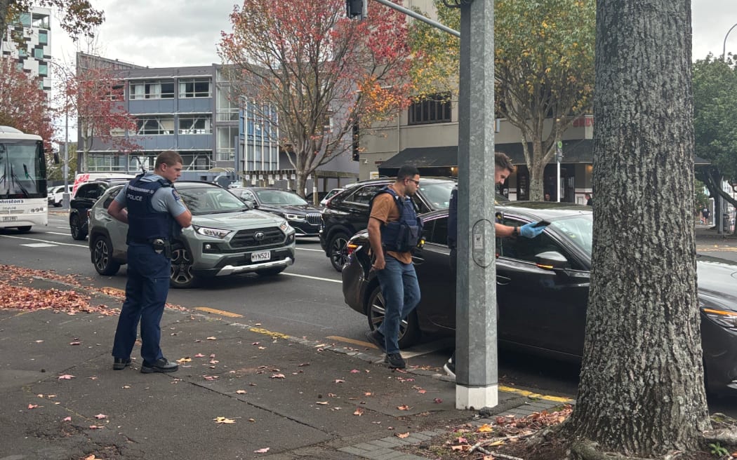 'Reckless actions': Man arrested after police pursuit in Auckland | RNZ ...