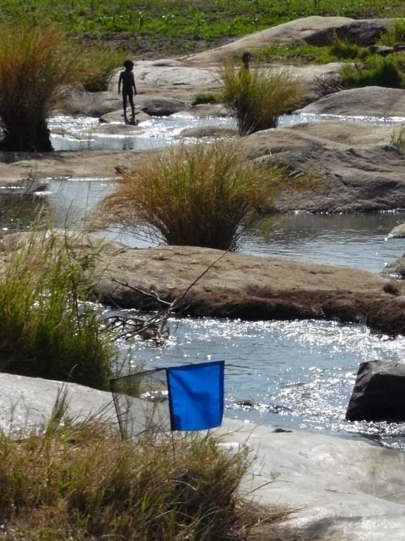 The blue of the flag attracts Tsetse flies.