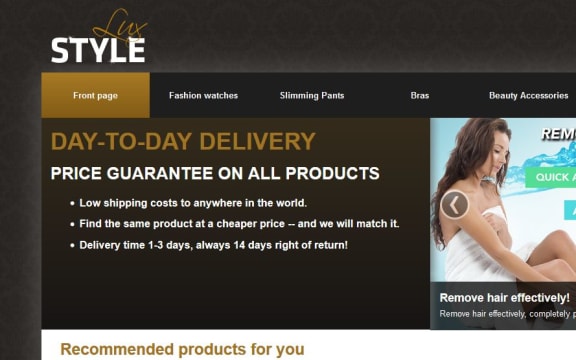 A screenshot of the LuxStyle website.