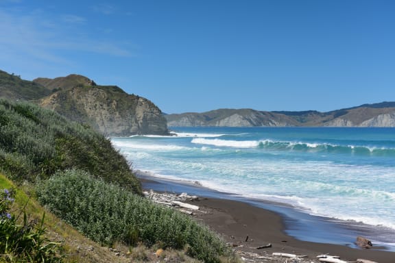 Hill and beach landscape at Mahia Peninsula