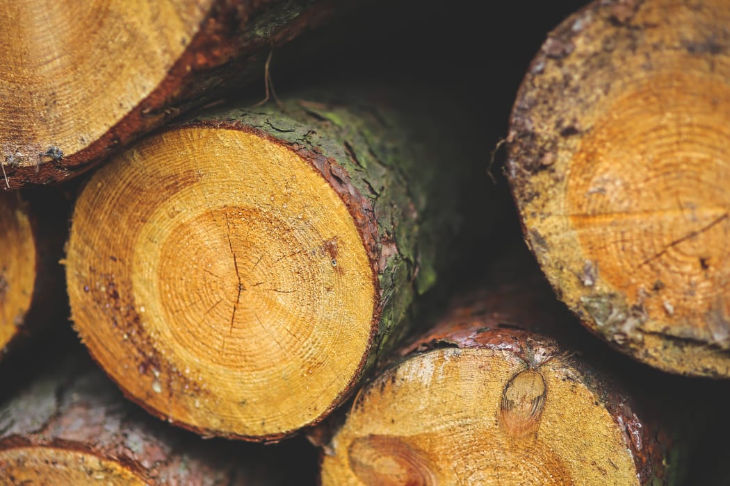 Logs