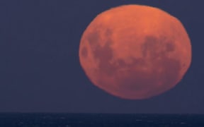 Supermoon rising in Otago Peninsula on April 27. Source: Ian Griffin/Otago Museum.