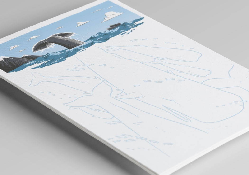 One of the Cards for Kaikoura designs.