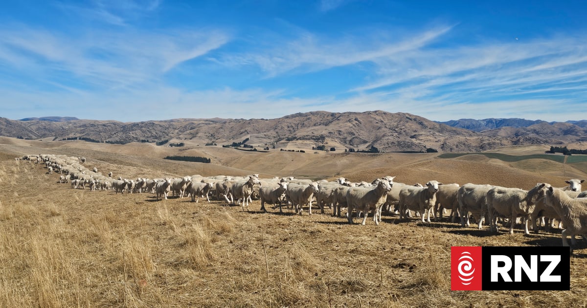Heads-up on El Niño gives rural sector time to prepare