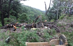 Some graves at Karori Cemetery were crushed by trees during a wild storm.