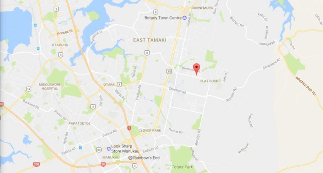 The fire broke out in a two-storey house in Flat Bush, south Auckland.