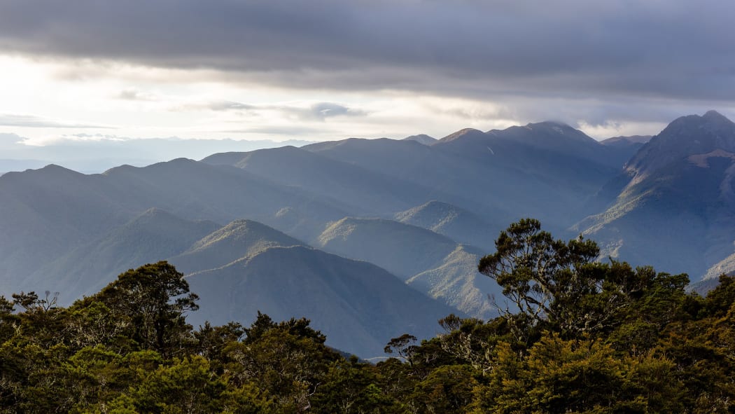 View from John Reid Hut, Kahurangi