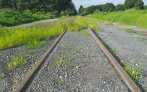 The Northland railway line at Otiria. The line from Otiria to Kauri will be mothballed in August.