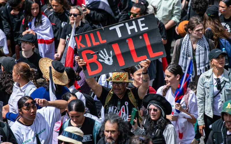 The unusual death of the Treaty Principles Bill | RNZ