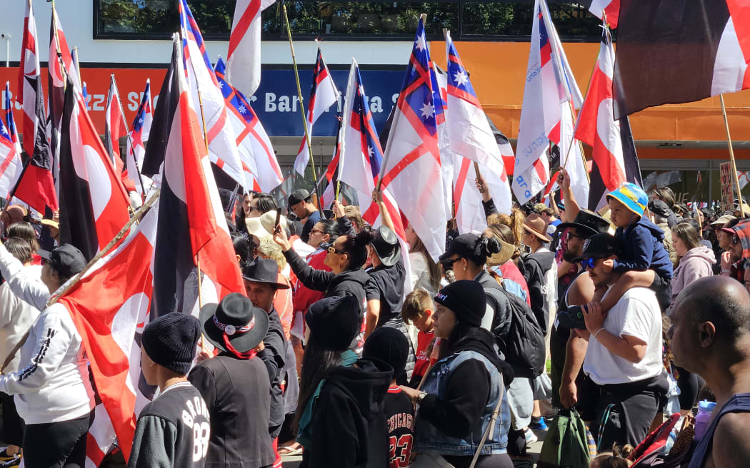 The hīkoi passes through the Square in Palmerston North on Sunday 17th of November 2024.