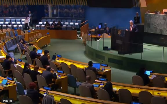 Winston Peters at the United Nations conference