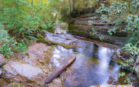 Stream flowing through natural New Zealand bush and rocky environment along West Bank of Matakitaki River