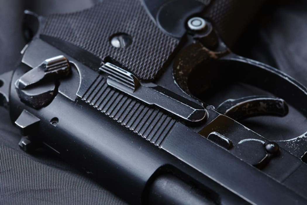 Gun