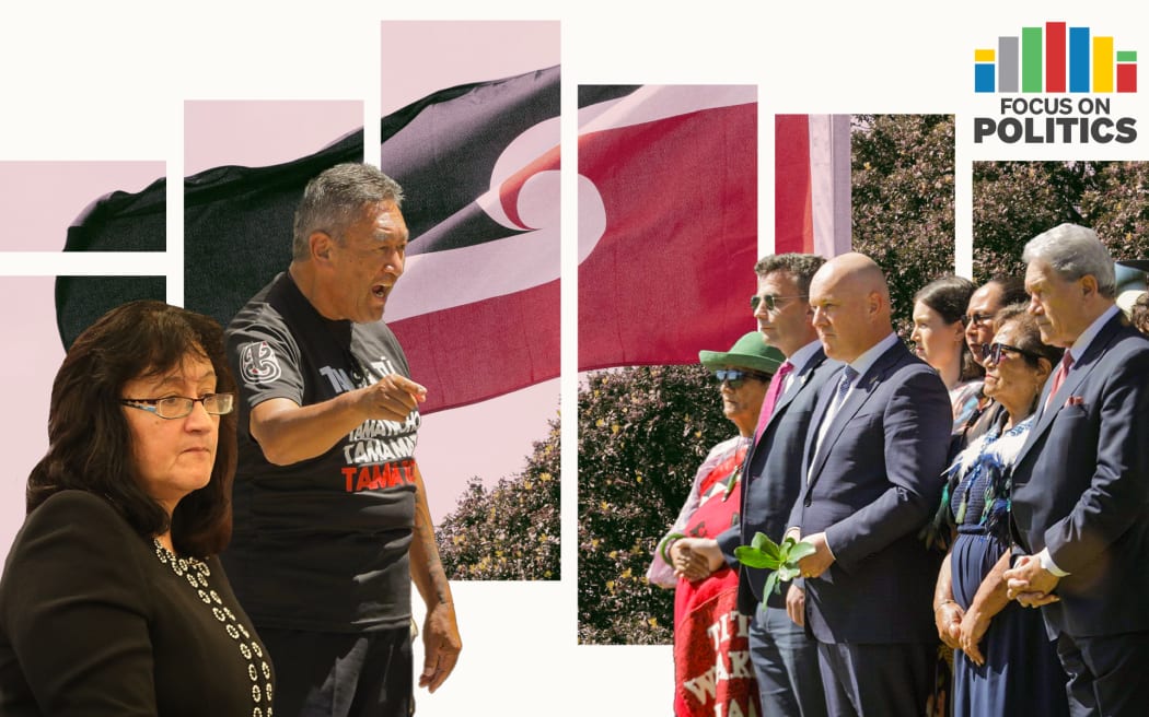 Focus on Politics: Composite image of Chris Luxon, David Seymour, Winston Peters and others with Annette Sykes and Hone Harawira opposite. Tino rangatiratanga flag is in the background