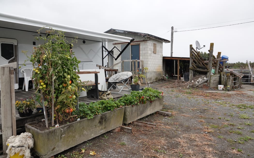 Their home may be destroyed, but the makeshift vege garden is thriving.