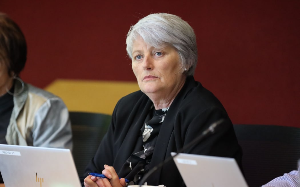 Councillor Jo Ellis thought the uncontrolled delays were embarrassing and wouldn't help get children engaged in local issues.